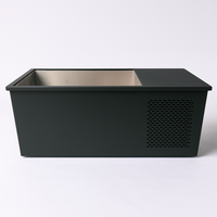 Integrated Cold Plunge Built for Daily Recovery, 316L Stainless Steel Basin, Whisper-Quiet Chiller, Matte Graphite